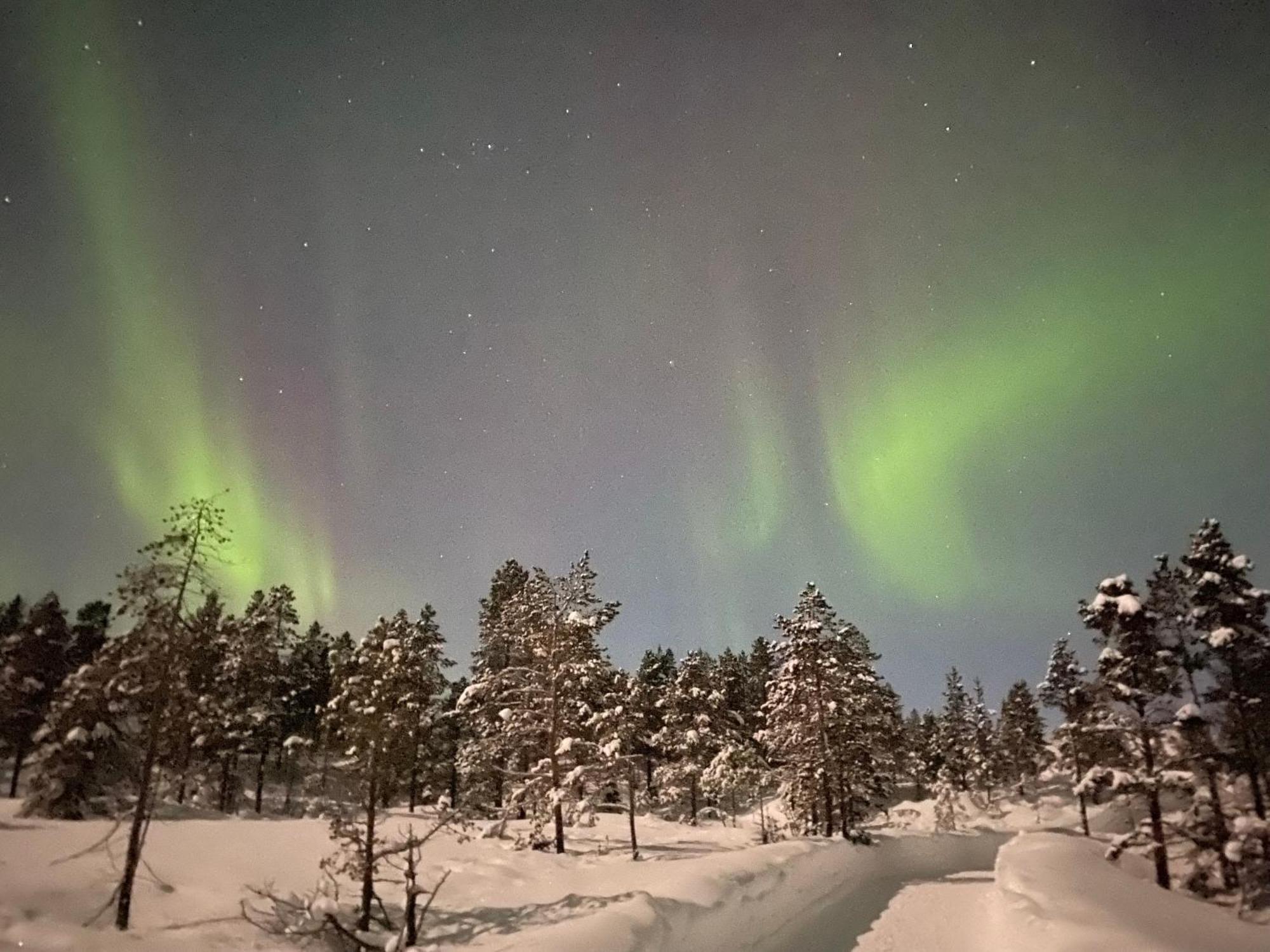 Malangen Lodge Мейстервик Экстерьер фото