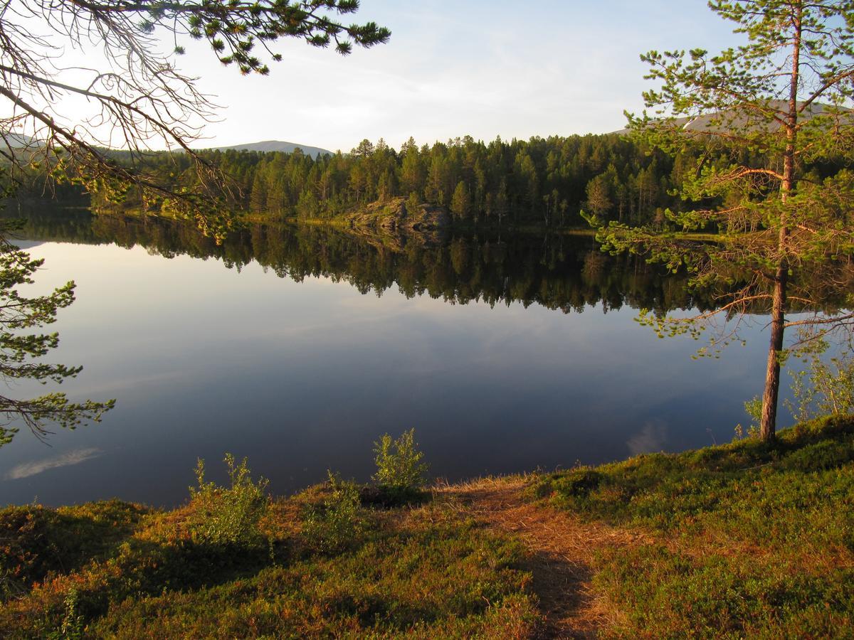 Malangen Lodge Мейстервик Экстерьер фото