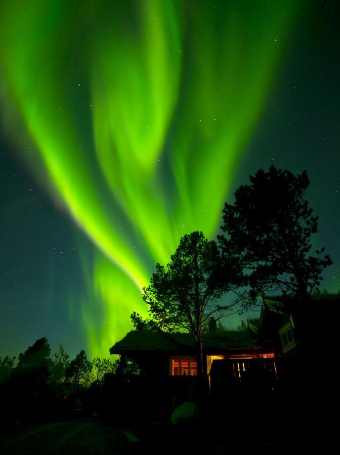 Malangen Lodge Мейстервик Экстерьер фото
