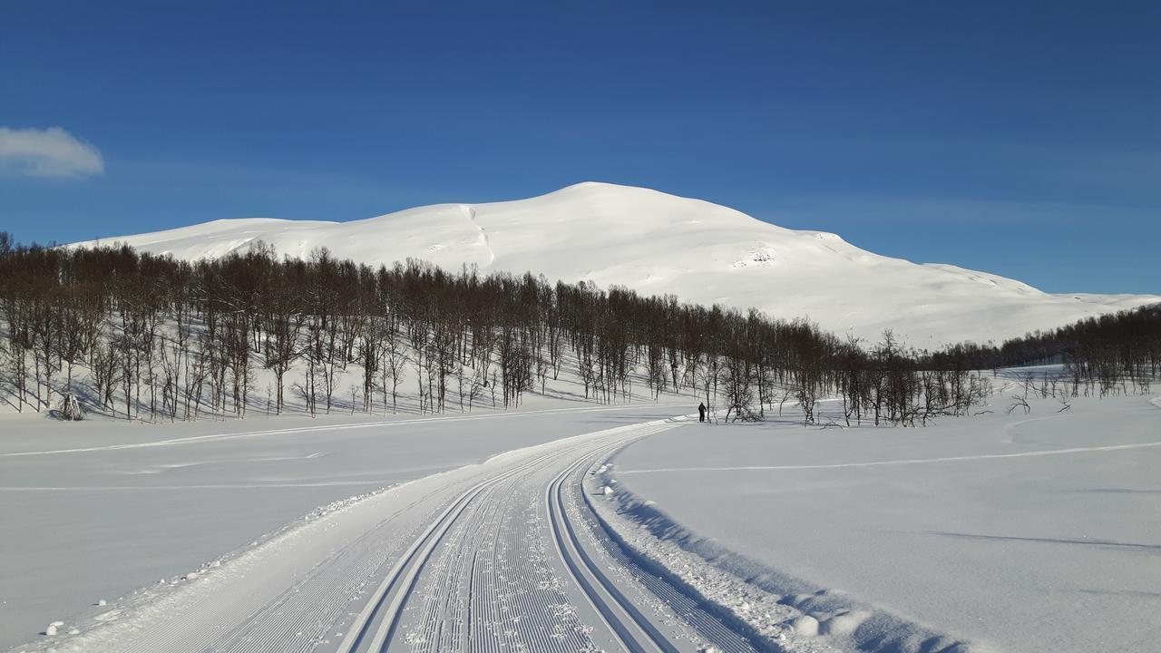 Malangen Lodge Мейстервик Экстерьер фото