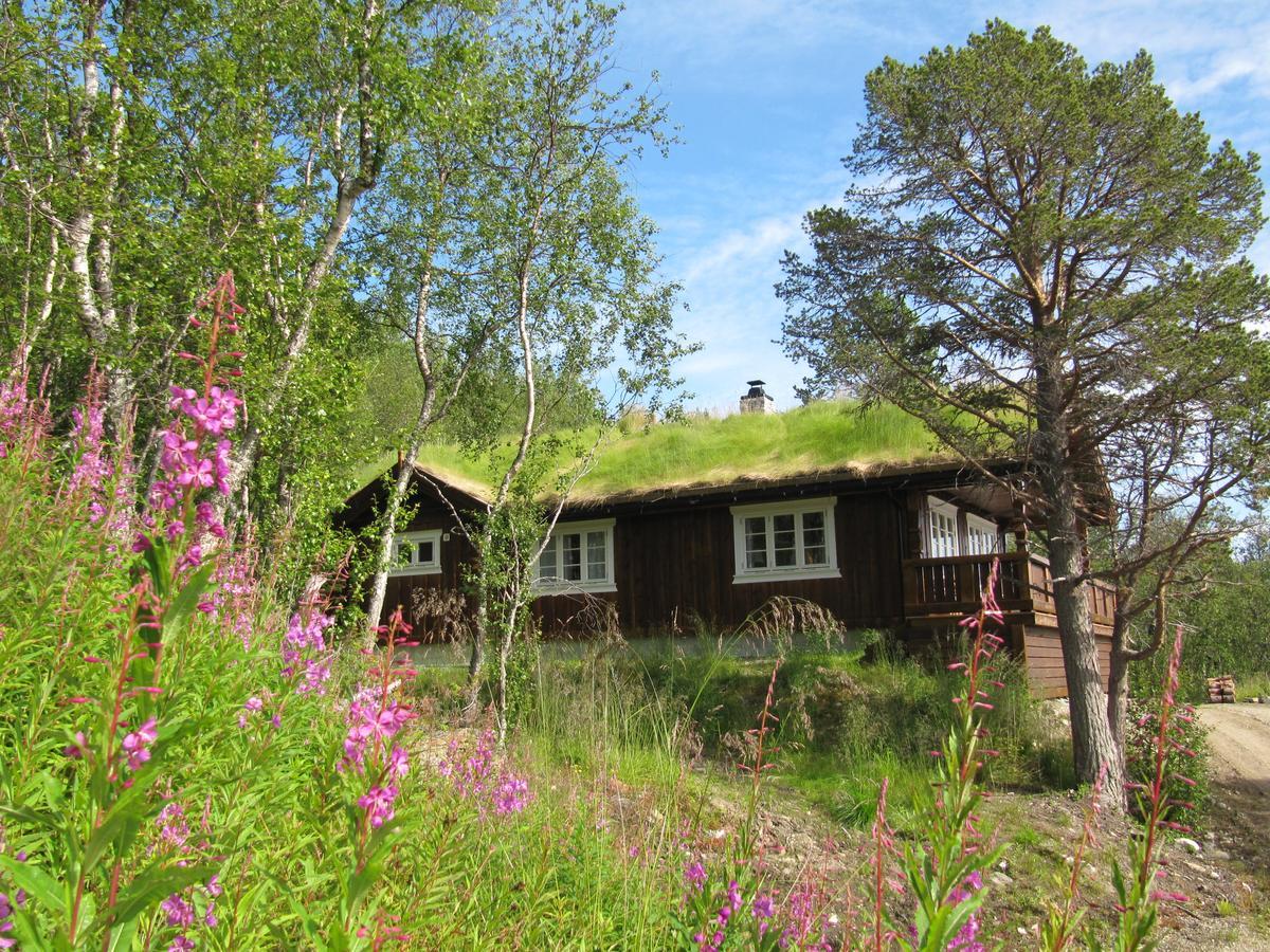 Malangen Lodge Мейстервик Экстерьер фото